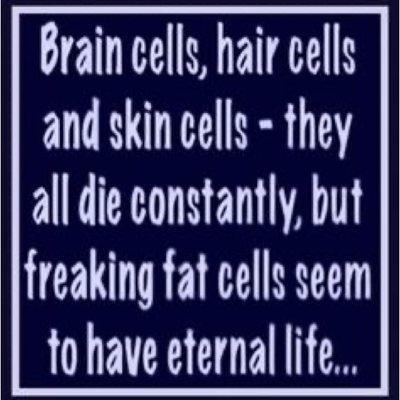 Meet your Posher, Bonnie - Picture 7 of 11